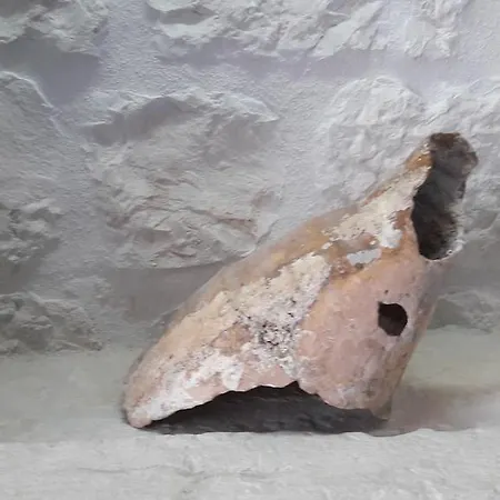 Affittacamere Tudor Traù